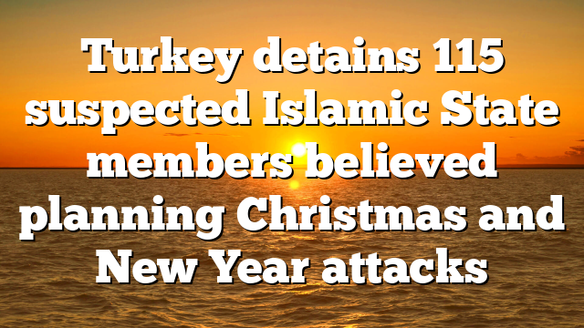 Turkey detains 115 suspected Islamic State members believed planning Christmas and New Year attacks