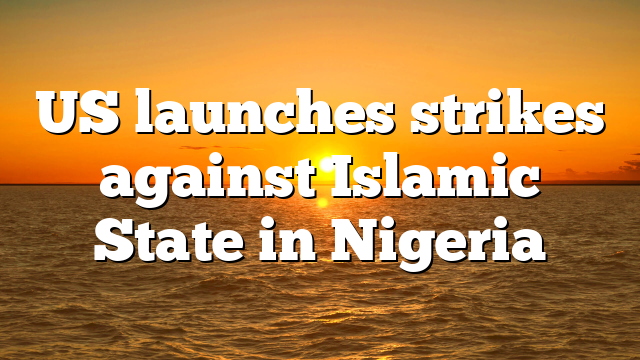 US launches strikes against Islamic State in Nigeria
