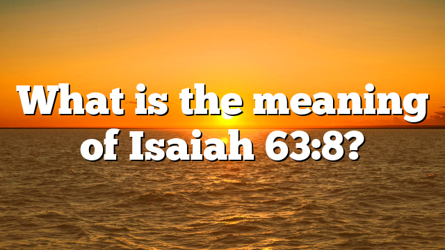 What is the meaning of Isaiah 63:8?