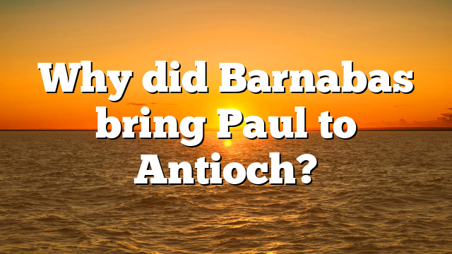 Why did Barnabas bring Paul to Antioch?