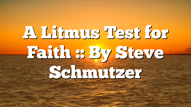 A Litmus Test for Faith :: By Steve Schmutzer