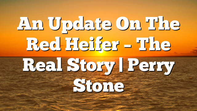 An Update On The Red Heifer – The Real Story | Perry Stone