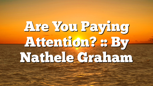 Are You Paying Attention? :: By Nathele Graham