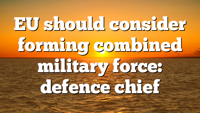 EU should consider forming combined military force: defence chief
