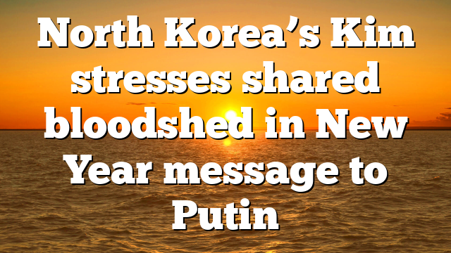 North Korea’s Kim stresses shared bloodshed in New Year message to Putin