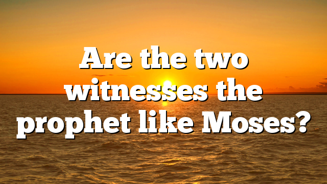 Are the two witnesses the prophet like Moses?