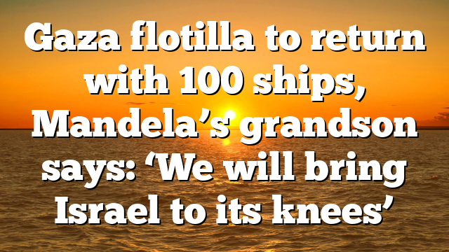 Gaza flotilla to return with 100 ships, Mandela’s grandson says: ‘We will bring Israel to its knees’