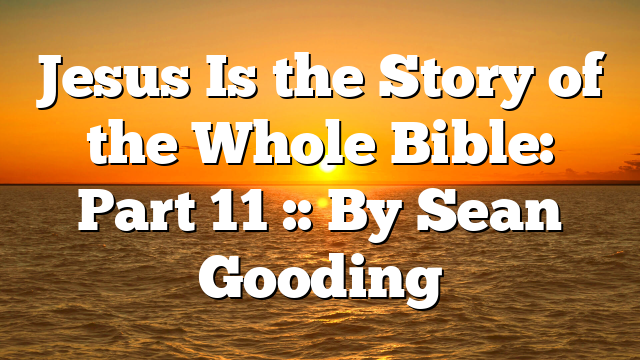 Jesus Is the Story of the Whole Bible: Part 11 :: By Sean Gooding