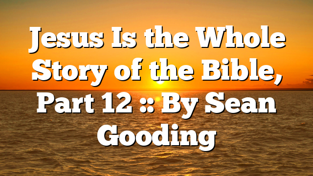 Jesus Is the Whole Story of the Bible, Part 12 :: By Sean Gooding