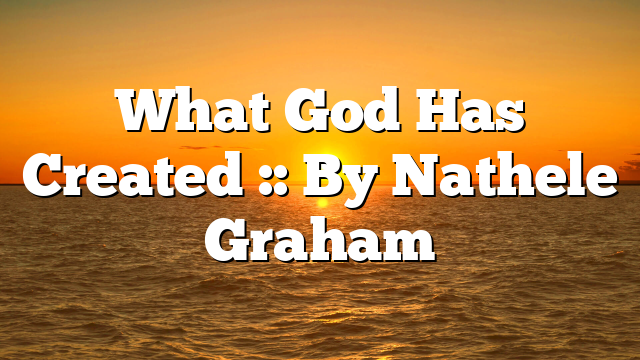 What God Has Created :: By Nathele Graham