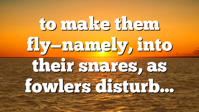 to make them fly—namely, into their snares, as fowlers disturb…