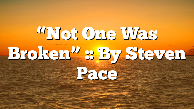 “Not One Was Broken” :: By Steven Pace
