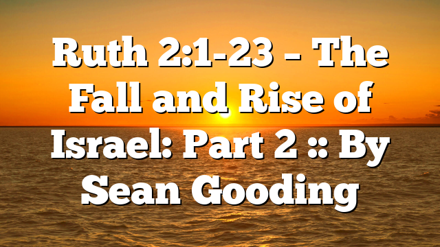 Ruth 2:1-23 – The Fall and Rise of Israel: Part 2 :: By Sean Gooding