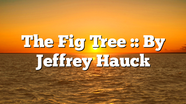 The Fig Tree :: By Jeffrey Hauck