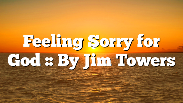 Feeling Sorry for God :: By Jim Towers