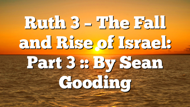 Ruth 3 – The Fall and Rise of Israel: Part 3 :: By Sean Gooding