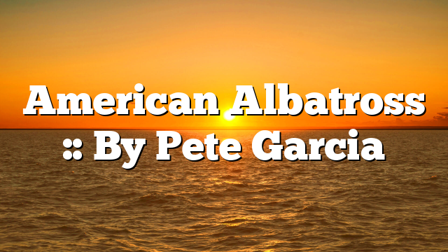 American Albatross :: By Pete Garcia