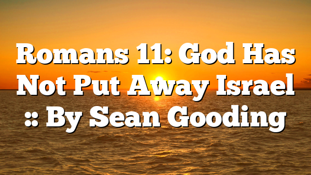 Romans 11: God Has Not Put Away Israel :: By Sean Gooding