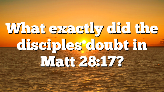 What exactly did the disciples doubt in Matt 28:17?