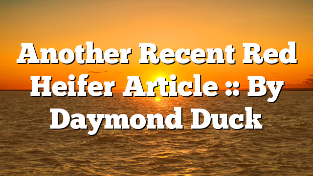 Another Recent Red Heifer Article :: By Daymond Duck
