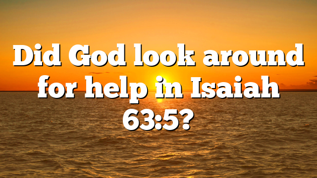 Did God look around for help in Isaiah 63:5?