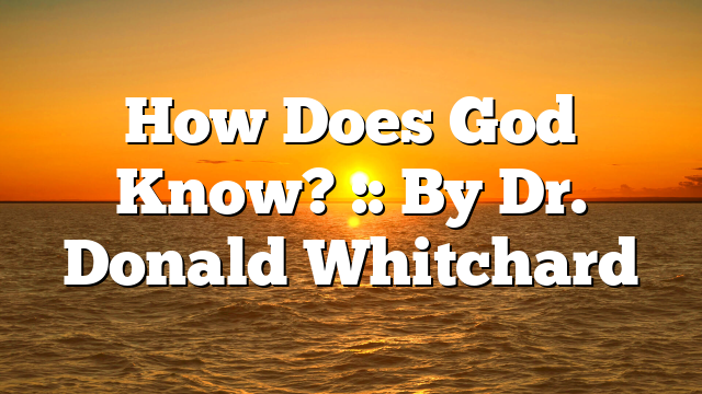 How Does God Know? :: By Dr. Donald Whitchard