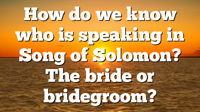 How do we know who is speaking in Song of Solomon? The bride or bridegroom?