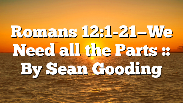 Romans 12:1-21—We Need all the Parts :: By Sean Gooding
