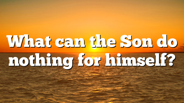 What can the Son do nothing for himself?