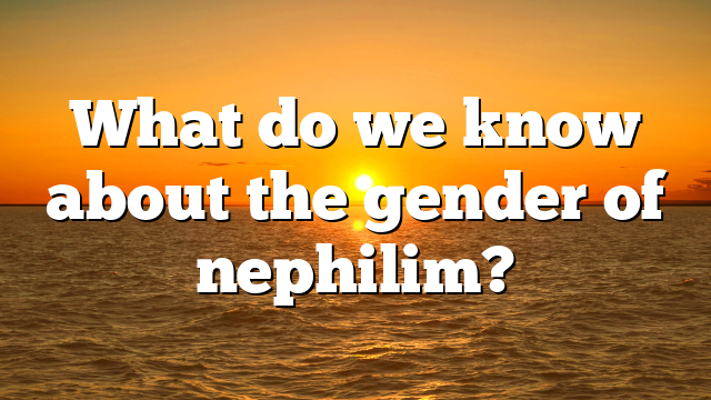 What do we know about the gender of nephilim?