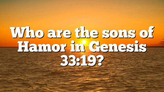 Who are the sons of Hamor in Genesis 33:19?