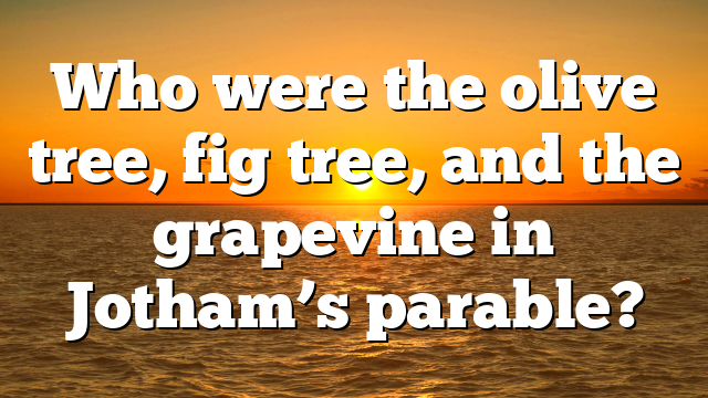 Who were the olive tree, fig tree, and the grapevine in Jotham’s parable?