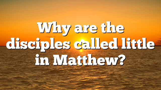 Why are the disciples called little in Matthew?