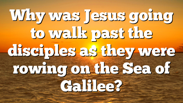 Why was Jesus going to walk past the disciples as they were rowing on the Sea of Galilee?