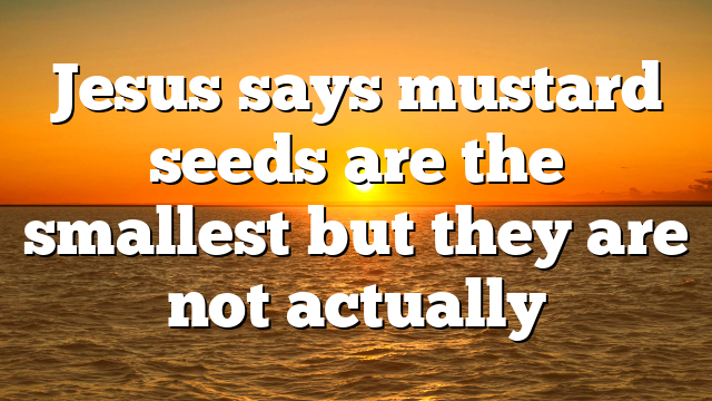 Jesus says mustard seeds are the smallest but they are not actually