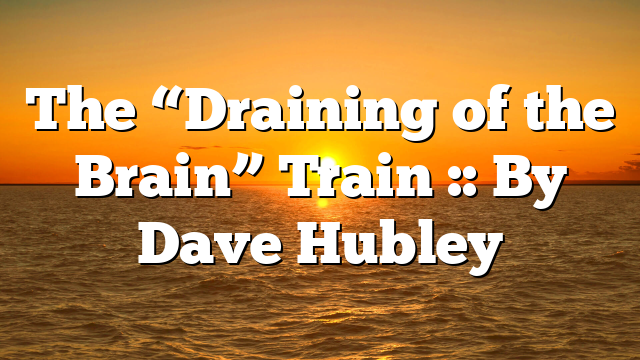 The “Draining of the Brain” Train :: By Dave Hubley