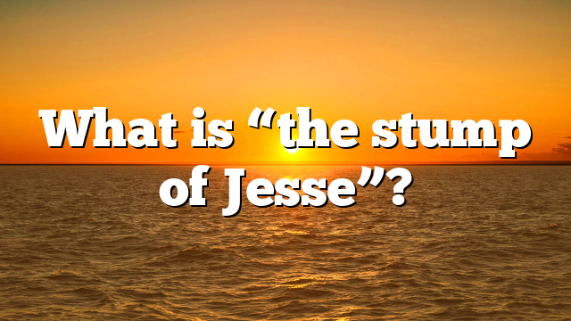 What is “the stump of Jesse”?