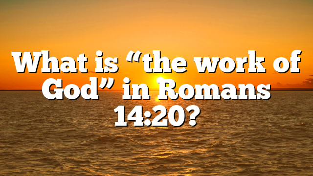 What is “the work of God” in Romans 14:20?