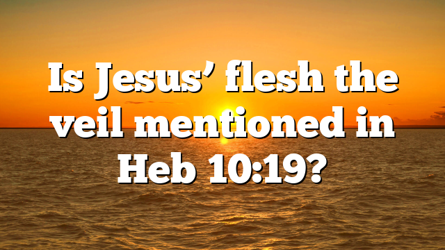 Is Jesus’ flesh the veil mentioned in Heb 10:19?