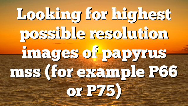 Looking for highest possible resolution images of papyrus mss (for example P66 or P75)