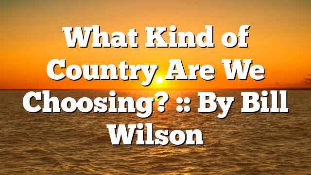 What Kind of Country Are We Choosing? :: By Bill Wilson
