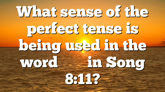 What sense of the perfect tense is being used in the word הָיָה in Song 8:11?